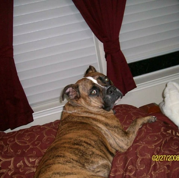 Luv2shop, I'm about to try selling very soon🤤😲😨 - Picture 6 of 7